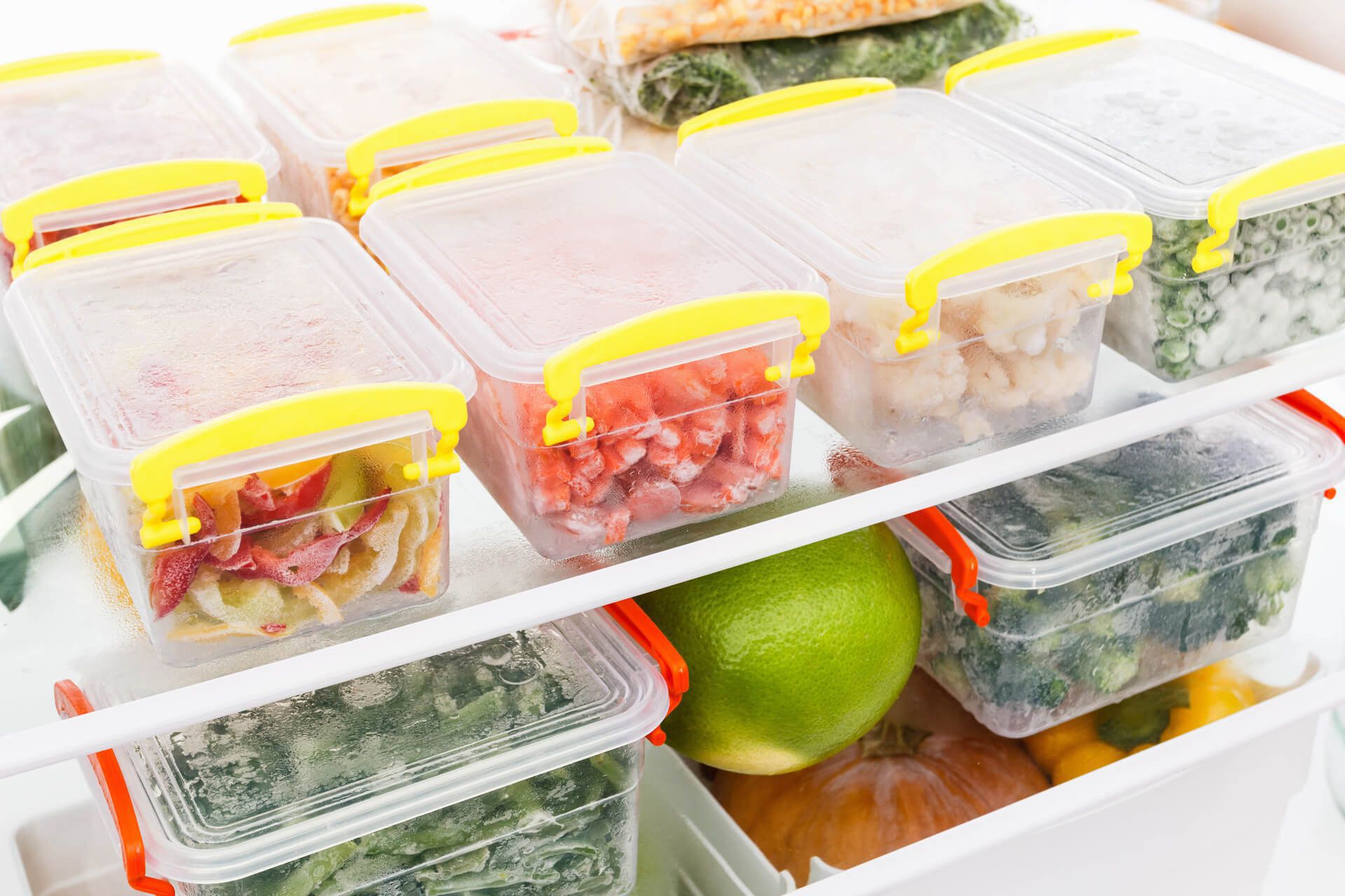 Với những bữa ăn thừa hoặc thực phẩm chín bạn nên cho vào hộp kín rồi để vào tủ